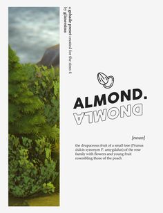 an advertisement for almondd - vtwond with trees and mountains in the background