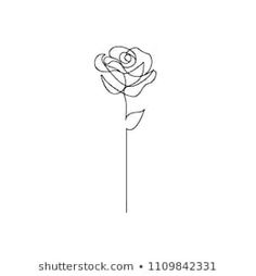 a single line drawing of a rose