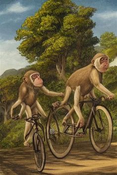 two monkeys riding on the back of a bicycle