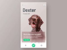 Weekly Inspiration for Designers #143 – Muzli -Design Inspiration Layout Animation, Button Mobile, Ux Animation, Hotel App, App Ideas, Ui Ux App, Animation Inspiration, Dog Hotel