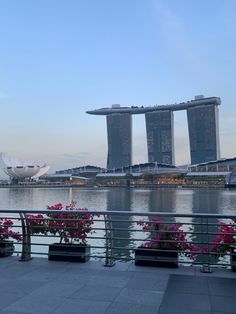 some pink flowers are in front of the water and two large buildings that look like they're floating