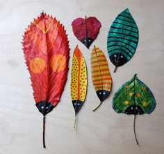 four different types of leaves on a table