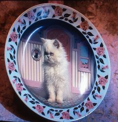 a white cat sitting inside of a blue and pink plate with roses on the rim