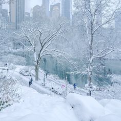 people are walking in the snow near some trees and water with skyscrapers in the background