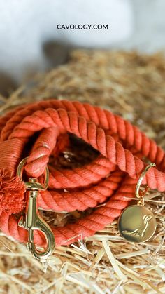 a red rope with a gold hook on top of it in some dry grass and straw