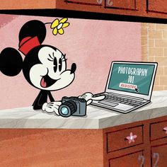 an image of a mickey mouse with a camera and laptop on the kitchen counter top