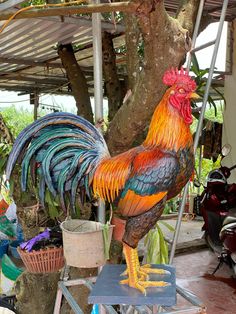 a colorful rooster standing next to a tree