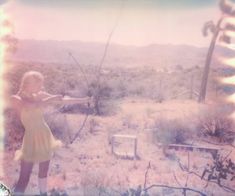 Original Art Color/Polaroid/Photo/C-type Photography, measuring: 55.88W x 45.72H x 0.25D cm, by: Stefanie Schneider (United States). Styles: Portraiture, Fine Art, Conceptual, Figurative, Pop Art. Subject: Women. Keywords: California, Desert, Americana, Vintage, Polaroid, Nature, Pop-art, Analog, Women, Yellow. This Color/Polaroid/Photo/C-type Photography is one of a kind and once sold will no longer be available to purchase. Buy art at Saatchi Art. The Point Of No Return, Point Of No Return, Mocking Jay, Polaroid Photography, Between Two Worlds, Polaroid Photos, Jolie Photo, Photography Women