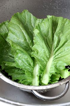 lettuce in a colander with water droplets