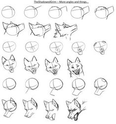 an image of how to draw heads with different angles and shapes for the fox head