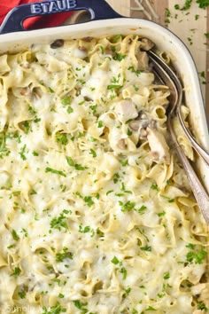 a casserole dish filled with pasta and chicken