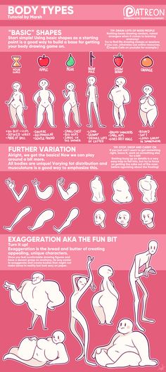 the body types and their functions