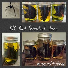 some jars filled with different types of liquid and insects in them, one is yellow and the other is black