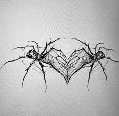 two spider webs are attached to each other in the shape of a heart on a white background