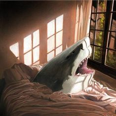 a shark laying on top of a bed next to a window