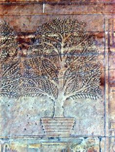 a tree is shown on the side of a wall