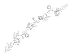 a line drawing of flowers on a white background