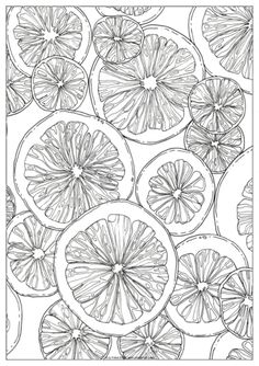 a drawing of orange slices on a white background