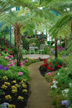 a garden filled with lots of plants and flowers next to a white table surrounded by palm trees