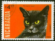 a postage stamp with a black cat on it's front and yellow eyes in the center