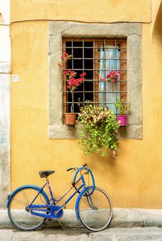 a blue bike parked next to a yellow building with flowers in the window box and potted plants