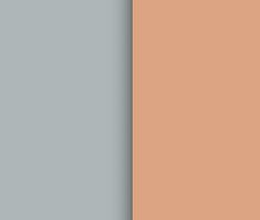 two different shades of gray and light brown, one is orange the other is blue