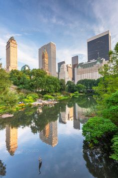 the city skyline is reflected in the still water of this pond - stock photo - images