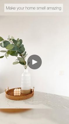 a plant in a vase sitting on top of a table next to a tray with marshmallows