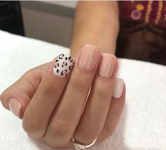 Pink cheetah nails Pink Cheetah Nails, Fingernails Painted, Cheetah Nails, Her Nails, Hair Skin Nails, Dipped Nails, Fancy Nails, Perfect Nails, Love Nails