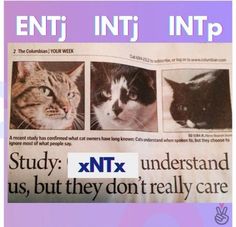 Intp Things They Say, Intj And Intp Funny, Intp Funny, Personality Types Chart, Mbti Charts, Intj T