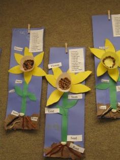 three paper flowers are on the ground with labels attached to them that read seed seeds