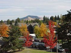 the parking lot is full of parked cars and trees with red leaves on their tops