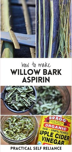 Learn How to Make Willow Bark Aspirin in our DIY Homestead Projects series at practicalselfreliance.com. These capsules are a convenient, natural solution for managing pain. Understand the process of creating them and their benefits as a natural aspirin alternative. Ideal for anyone interested in herbal remedies and natural health care. Explore the effective use and dosage for pain relief. Find more Homesteading Skills, Herbal Remedies Recipes, and Natural Herbs Medicine. Willow Bark Benefits, Willow Bark Tincture, Willow Bark Tea, Herbalism For Beginners, Herbal Medicine Recipes, Natural Pain Relievers, Herbal Tinctures