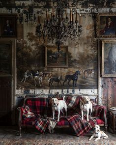 three dogs are sitting on a couch in front of a wall with paintings and chandelier