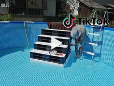 a man standing on top of a ladder next to a swimming pool