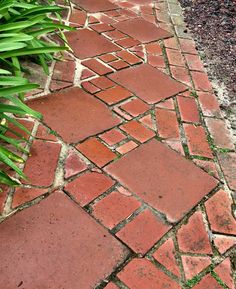 a red brick walkway with green grass on the side