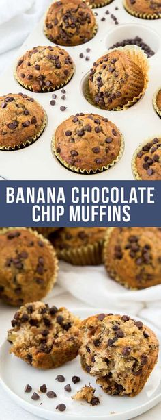 banana chocolate chip muffins on a white plate with text overlay that reads, banana chocolate chip muffins