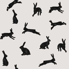 black silhouettes of rabbits in various positions on a white background, with one running and the other jumping