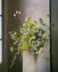 a vase filled with lots of flowers next to a window