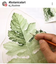 a person is drawing leaves on a piece of paper with pencils and watercolor