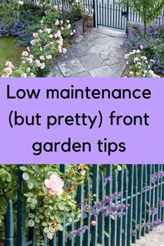 an iron fence with flowers growing on it and the words low maintenance but pretty front garden tips