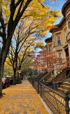 a tree lined street with yellow leaves on the ground and buildings in the backround