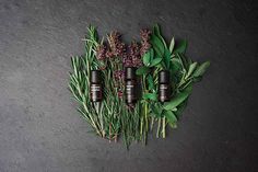 herbs and essential oils on a dark background