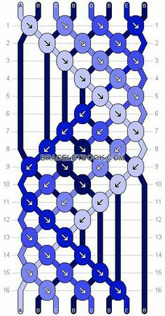 the diagram shows how many cells are connected to each other