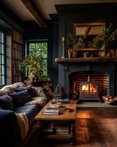 a living room filled with furniture and a fire place next to a window covered in books