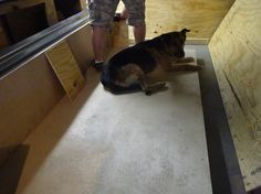 a man standing next to a black and brown dog