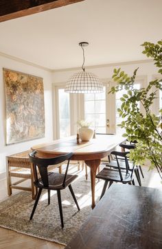 a dining room table with chairs and a plant in the corner on top of it