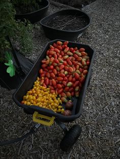 a wheelbarrow filled with lots of different types of fruits and vegetables in it