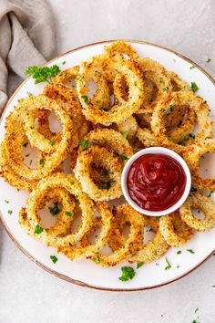 onion rings on a plate with ketchup and parsley