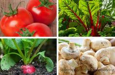 four different types of vegetables are shown in three pictures, one is red and the other has green leaves